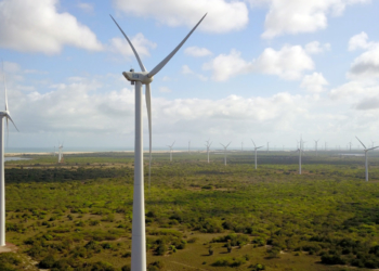 Faltam projetos no Brasil para captar recursos com green bonds