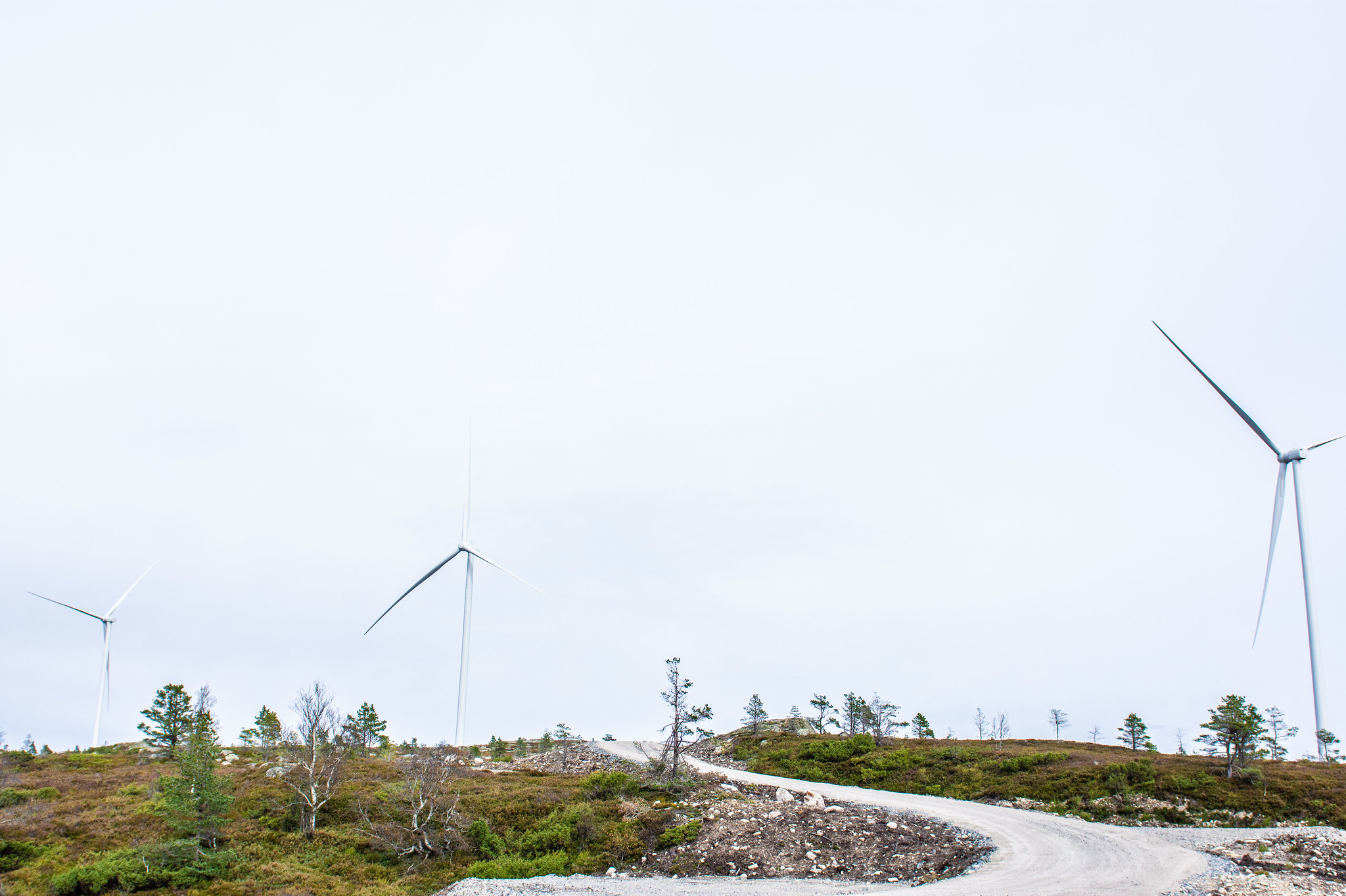 Parque Eólico Tonstad da Norsk Hydro na Noruega. Foto por Anita Meisler