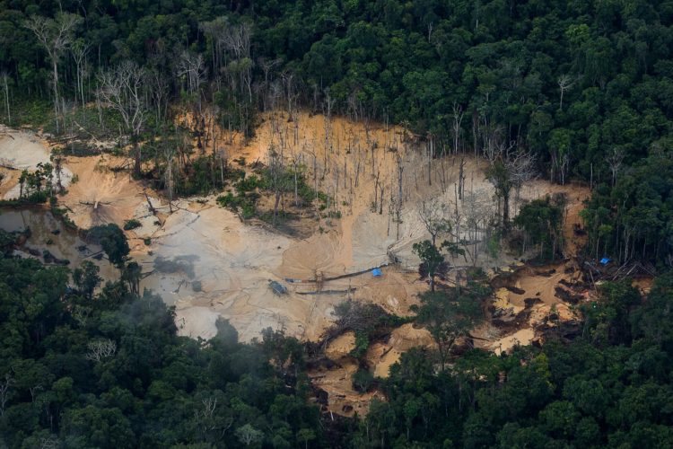 Área de garimpo na região do rio Uraricoera na Terra Indígena Yanomami. (Foto: Bruno Kelly/Amazônia Real)