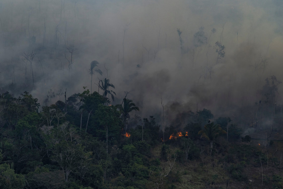 Brasil chegará na COP26 com alto índice de desmatamento