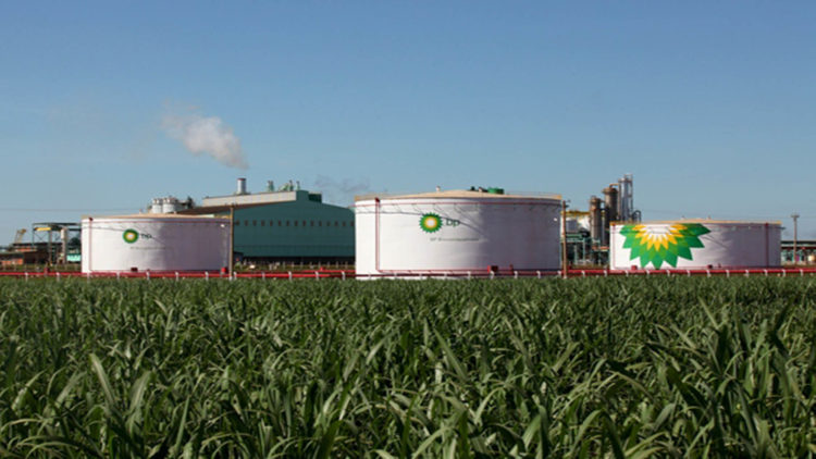Com capacidade produtiva de 1,7 bilhão de litros/ano de etanol por safra, companhia está presente em cinco estados brasileiro: Goiás, São Paulo, Minas Gerais, Tocantins e Mato Grosso do Sul (foto: JornalCana)