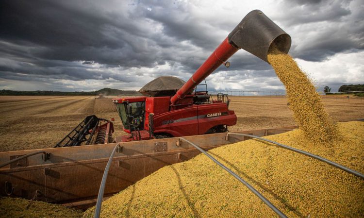 Óleo de soja deve voltar a patamar de 2019 com corte no biodiesel. Na imagem: colheitadeira de soja despejando grãos em caminhão (Foto: Agência Brasil)