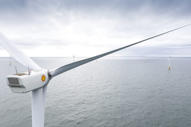 .Shell anuncia 17 GW em eólicas offshore no Brasil. Na imagem, parque eólico Egmond aan Zee na costa holandesa, operado pela Shell NoordzeeWind (Foto: Stuart Conway/Shell)