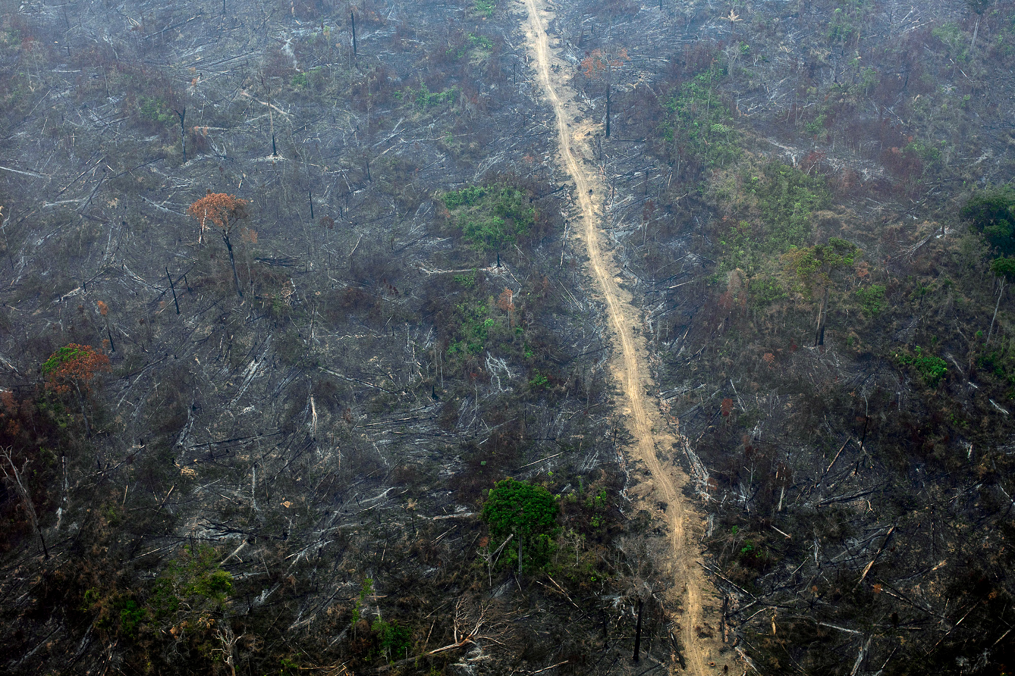 Organizações lançam propostas climáticas emergenciais para “sucessor de Bolsonaro”. Na imagem, fogo na Floresta Nacional do Jamanxim, município de Novo Progresso (Foto Marizilda Cruppe/Amazônia Real/Amazon Watch). Devastação em unidades de conservação disparou no governo Bolsonaro
