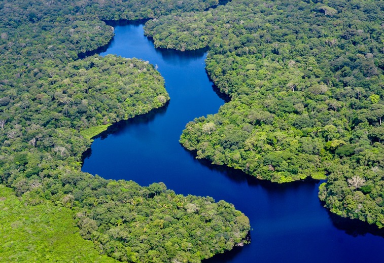 Vista aérea da Floresta Amazônica, perto de Manaus, capital do estado do Amazonas (Foto: Neil Palmer/CIAT). Mercado brasileiro de carbono: análises e perspectivas em um ambiente de insegurança jurídica e regulatória