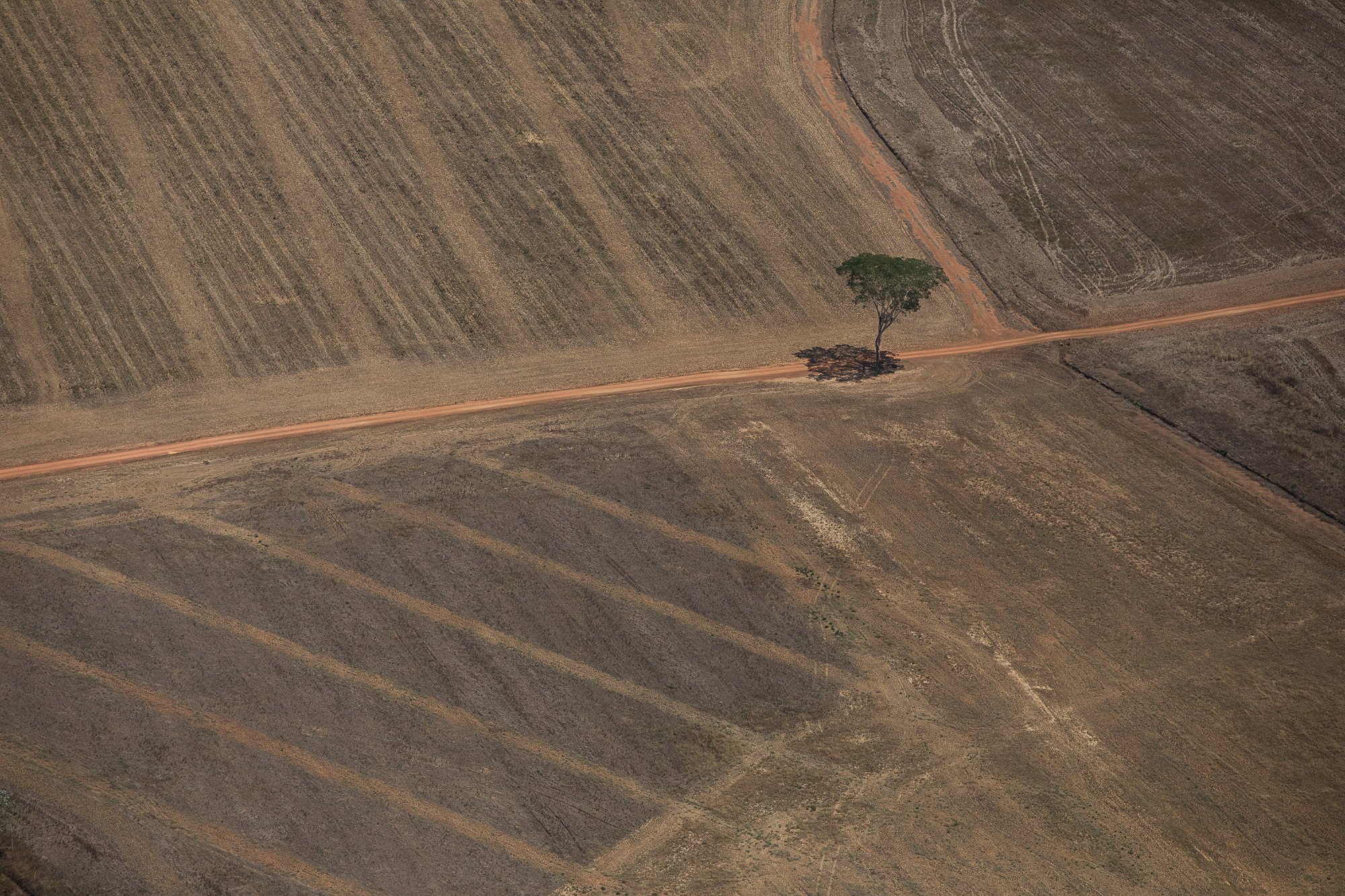 Seeg Municípios: Agro é principal emissor em 67% dos municípios brasileiros. Na imagem, imagem aérea de área preparada para monocultura ou pecuaria, próxima a Porto Velho. 07 de agosto de 2020 (Foto: Bruno Kelly/Amazônia Real)