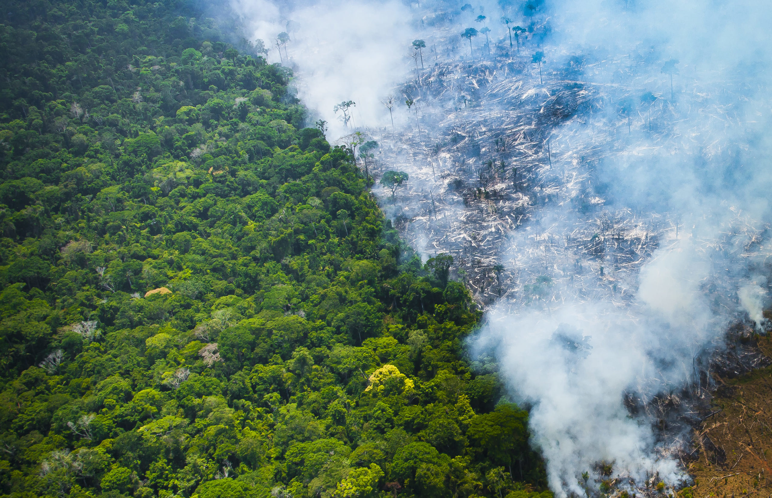 Petroleiras de olho no mercado de carbono brasileiro; desmatamento segue avançando na Amazônia. Na imagem, sobrevoo flagra queimada na floresta Amazônica, no Pará (Foto: Araquém Alcântara/WWF Brasil)