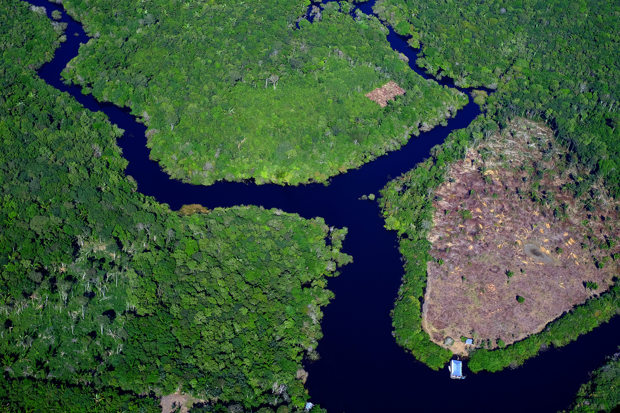 Desmatamento na Amazônia no mês de julho de 2022 equivale a uma cidade de São Paulo inteira. Na imagem: Foto aérea de áreas de desmatamento no município de Careiro da Várzea, no Amazonas, próximo às terras indígenas do povo Mura (Foto: Alberto César Araújo/Amazônia Real)