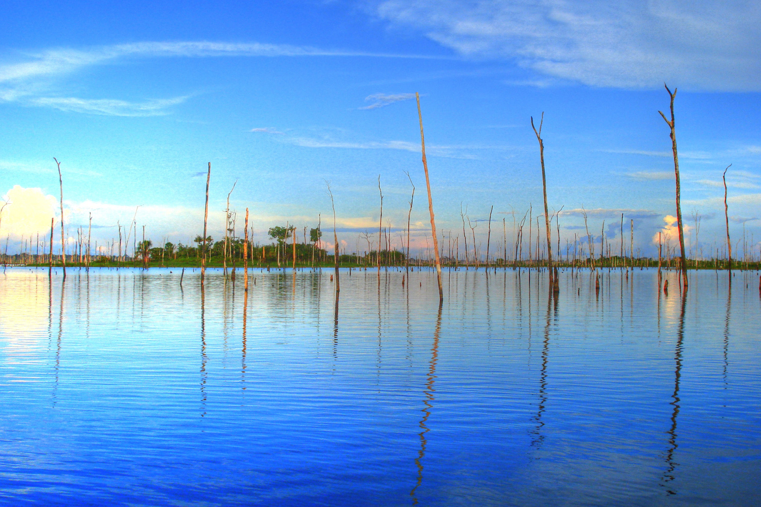 Eletronorte elege cinco projetos para produção de hidrogênio verde no Amazonas. Na imagem, Balbina Dam (Usina Hidreletrica de Balbina) (Foto: Seabirds/Wikimedia)