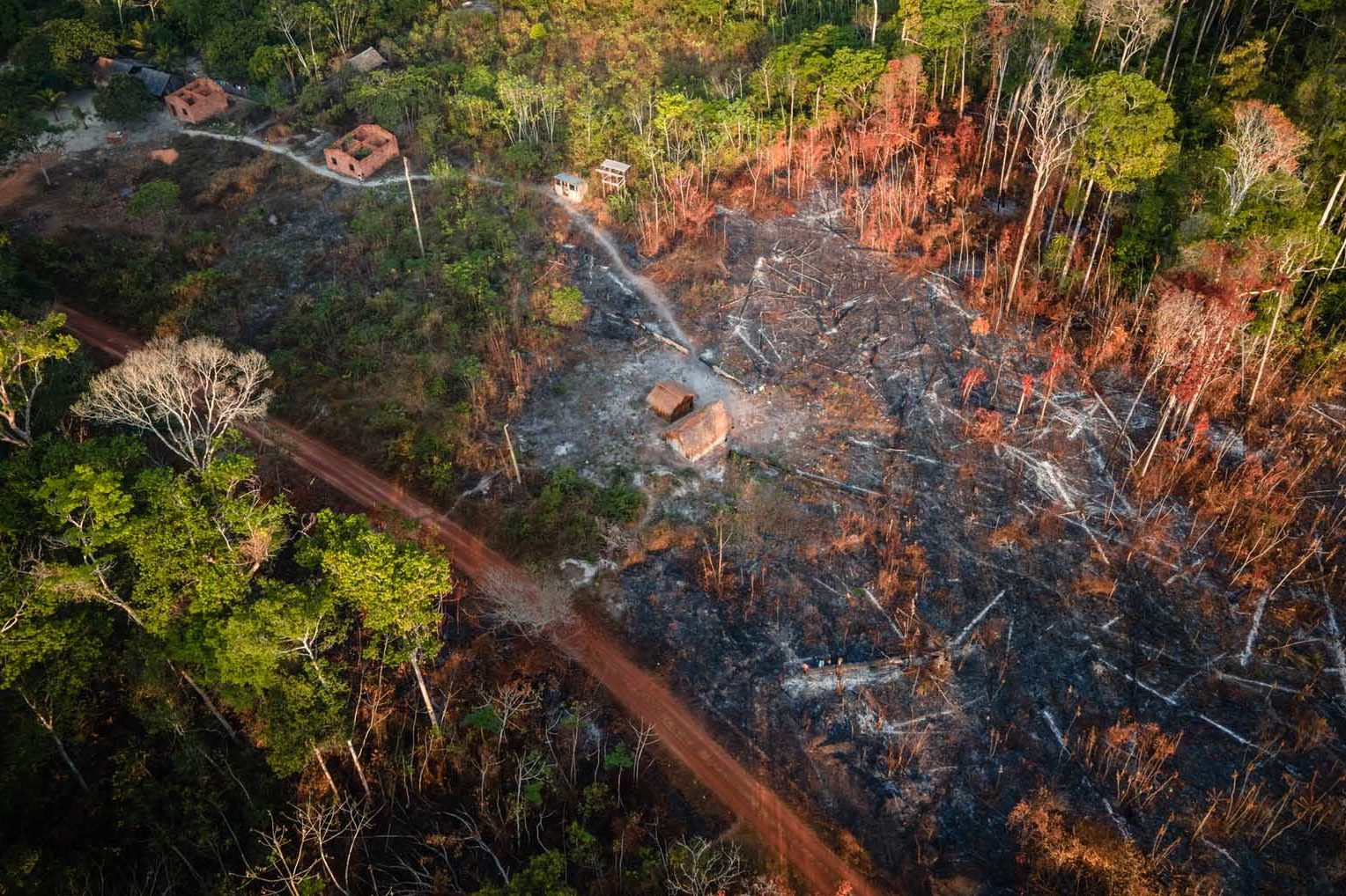 Taxa de desmatamento na Amazônia deve encerrar o ano de 2022 com a quarta elevação seguida. Na imagem: Vista aérea da floresta amazônica com grande extensão desmatada ilegalmente e queimada, a partir de setembro de 2020, atingindo fortemente a aldeia Ka'a kyr, na Terra Indígena Alto Rio Guamá (Foto: Cícero Pedrosa Neto/Amazônia Real)