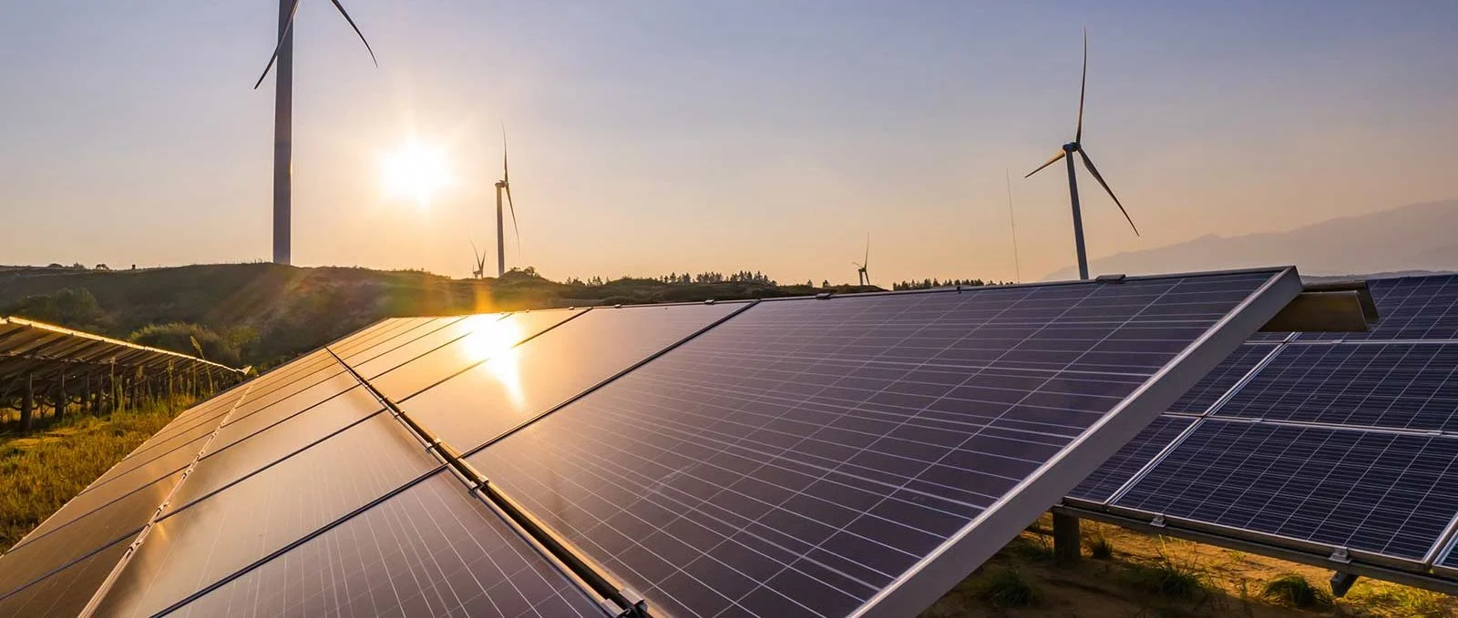 Geração de energia está menos suja desde início da guerra, diz S&P Global. Na imagem, painéis solares e torres eólicas (Foto: Hydro/Divulgação)