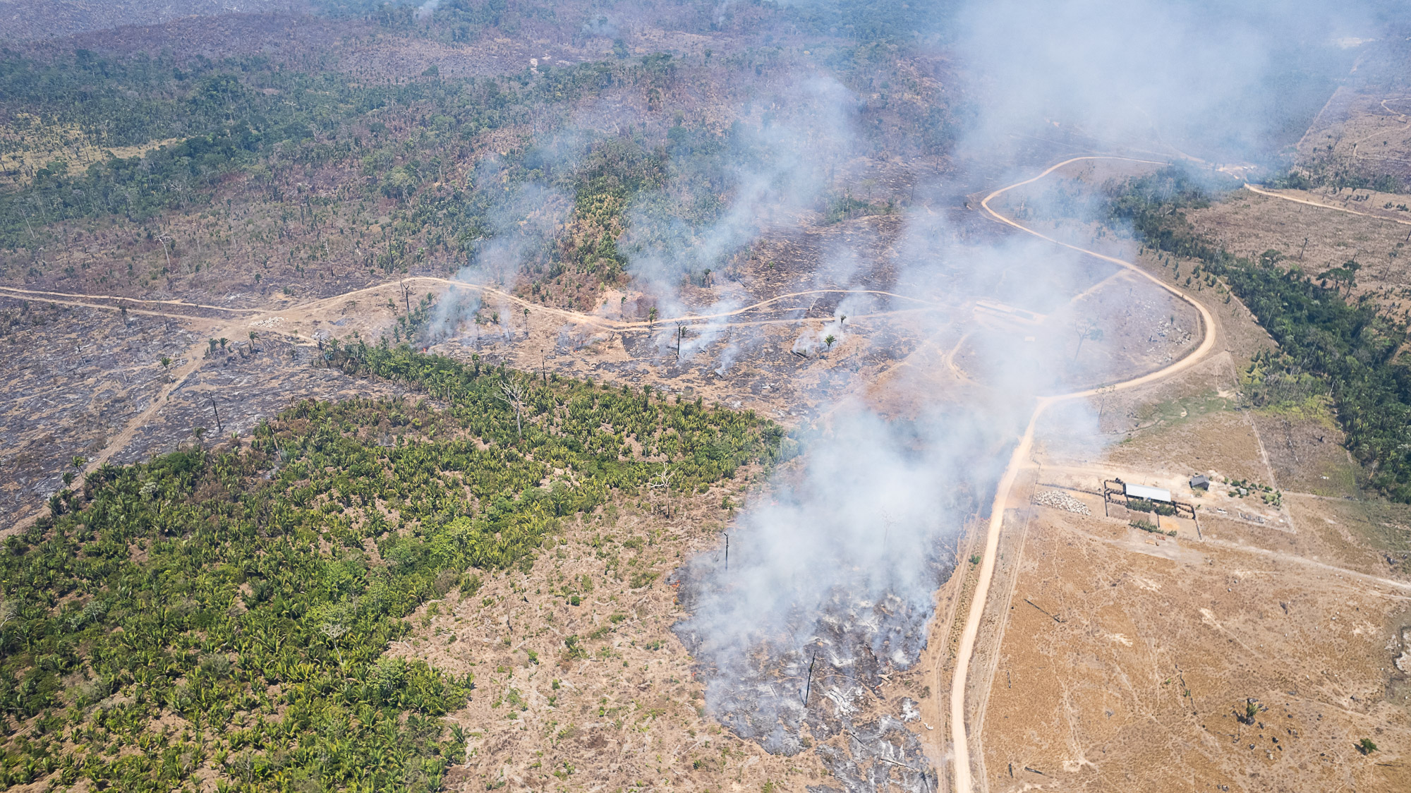 Focos de queimadas na Amazônia aumentam 147% em setembro