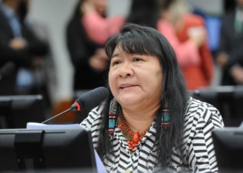 Segurança climática pode ganhar status de direito fundamental. Na imagem, Joenia Wapichana, deputada federal (Foto: Billy Boss/Câmara dos Deputados)
