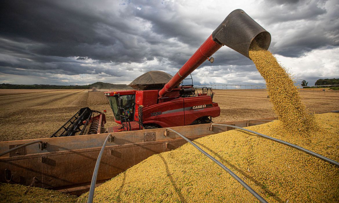 Produtores calculam esmagamento menor de soja com corte na mistura de biodiesel. Na imagem: colheitadeira de soja despejando grãos em caminhão (Foto: Agência Brasil)