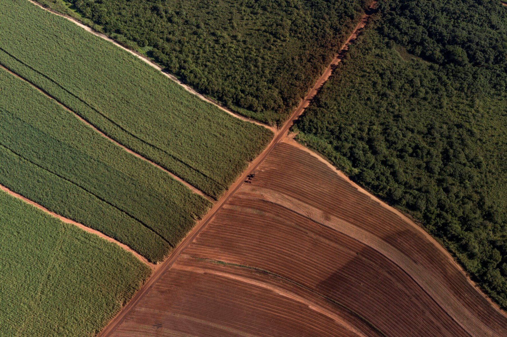 Agricultura e florestas serão chave para descarbonizar América Latina. Na imagem: Vista aérea de terreno agricultável próximo a região de floresta (Foto: Fenasucro)