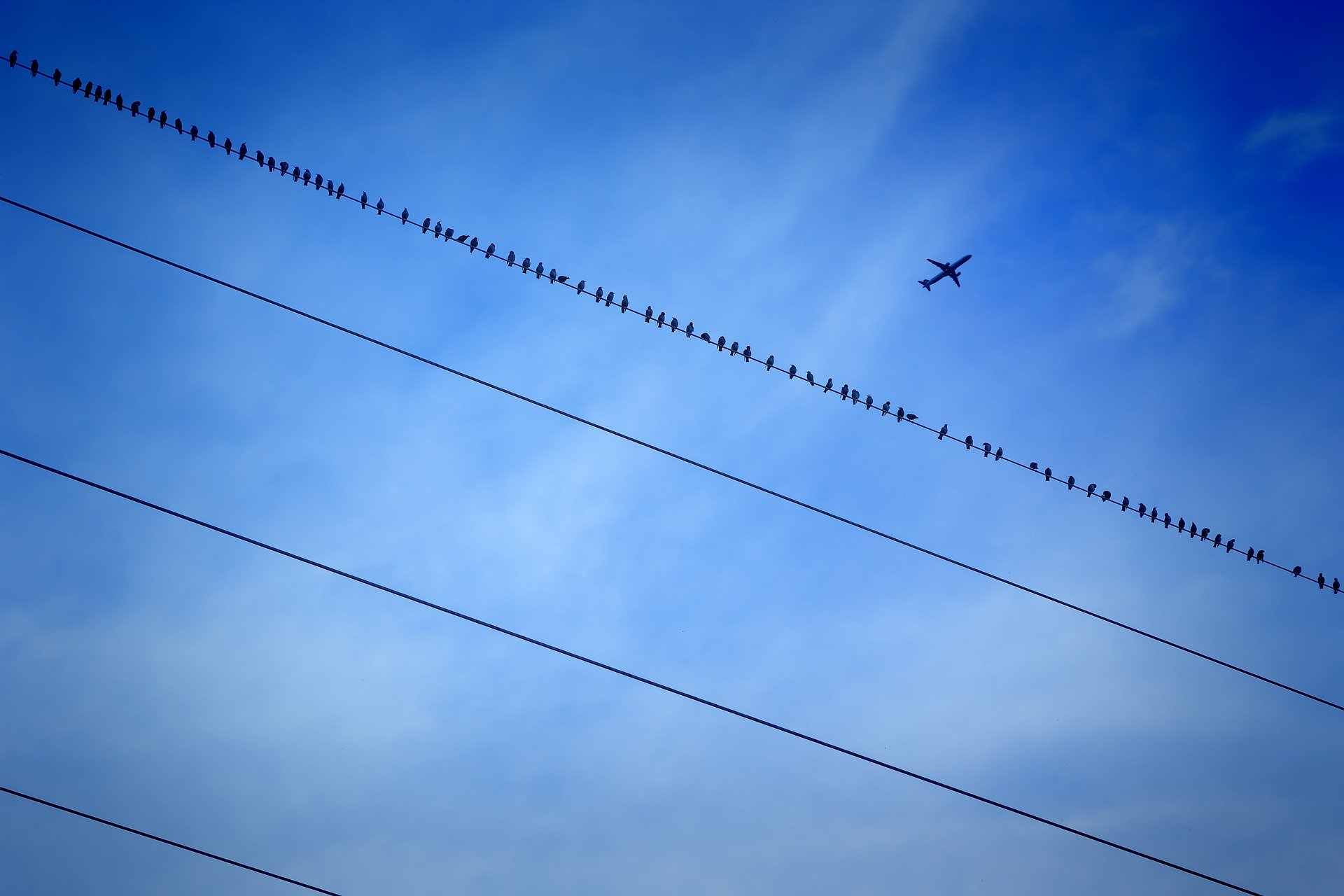 Quão longe estamos dos aviões elétricos? Na imagem: Avião cruza o céu azul (Foto: Joe/Pixabay)