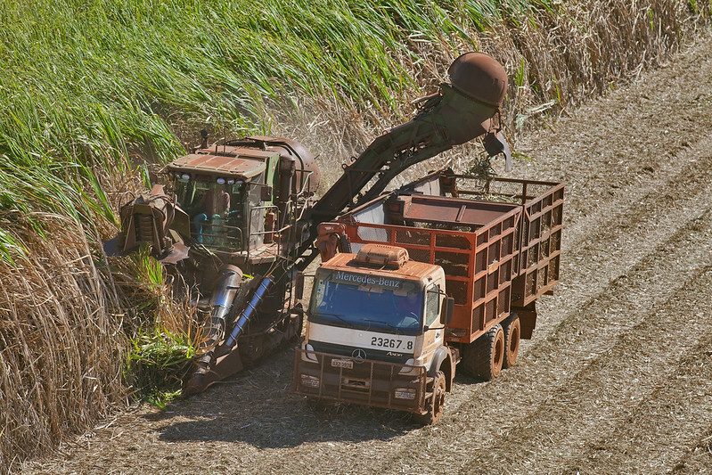 Goiás sanciona política estadual para hidrogênio verde. Na imagem: caminhão e máquina agrícola operam em plantio de cana-de-açúcar (Foto: Tadeu Fessel/Cortesia Unica)