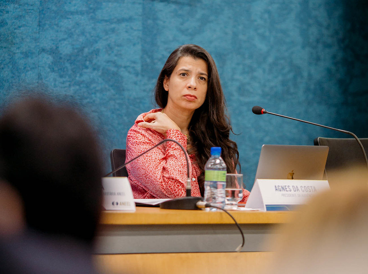 Diretora Agnes da Costa manifesta preocupação com aumento dos subsídios (Foto: Divulgação/Aneel)