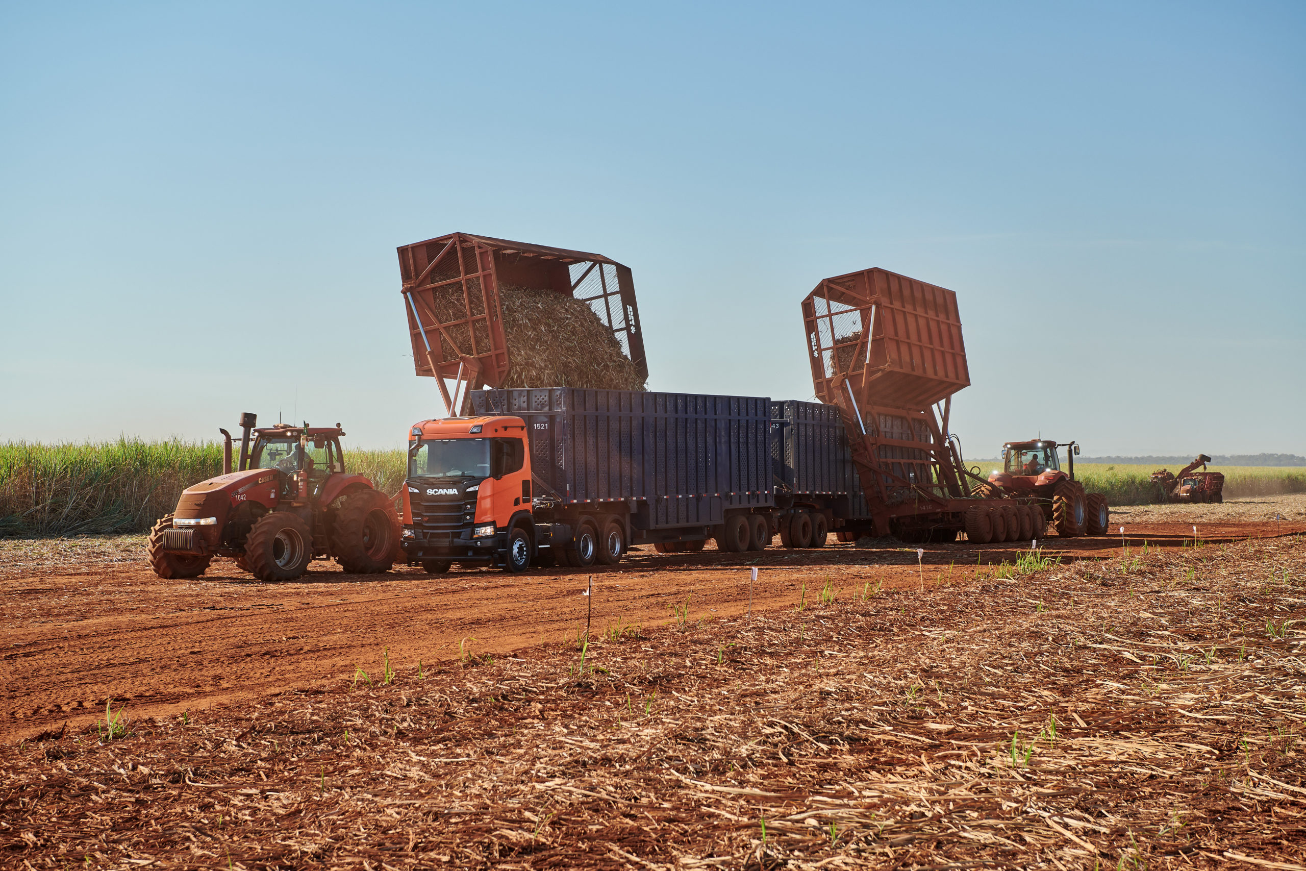 Amaggi avalia usar 100% de biodiesel em frota própria. Na imagem: Caminhão Scania, da série R, durante colheita mecanizada de cana-de-açúcar (Foto: Carlos Biagini/Scania)