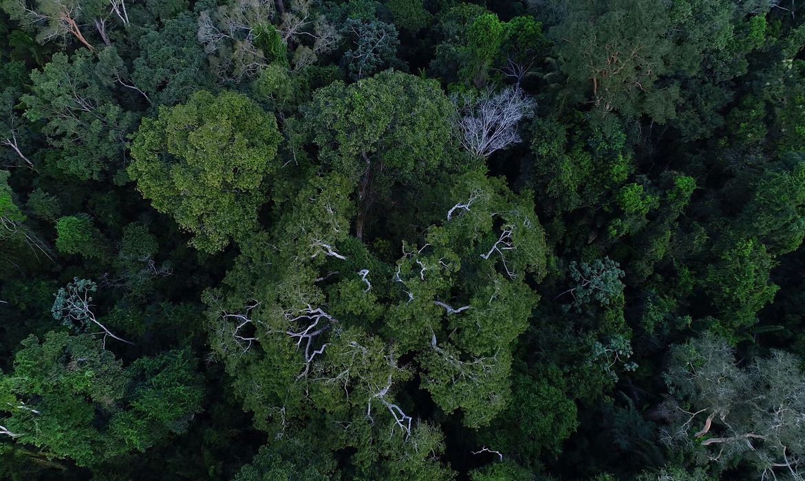 Floresta amazônica vista de cima. Na imagem: Iniciativa tenta organizar reivindicações climáticas com créditos de carbono