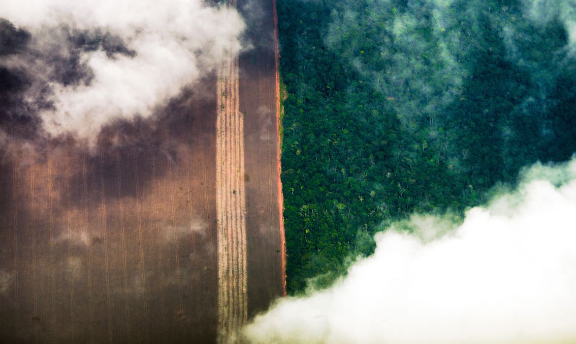 Estudo do BNDES mostra que Brasil pode ser potência de baixo carbono e biodiversidade. Na imagem: Fotografia aérea da Floresta Amazônica sendo desmatada para atividade agrícola (Foto: Marcelo Camargo/Agência Brasil)