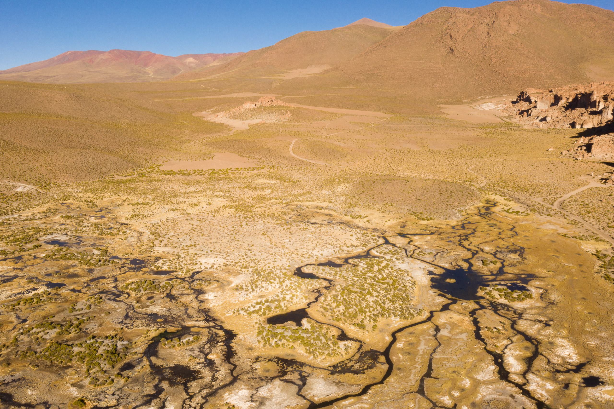 Zona úmida geotérmica perto de Mallku Villamar, em Los Lípez, local de importância ecológica internacional conforme a Convenção Ramsar (Foto: Ernst Udo Drawert/Diálogo Chino)
