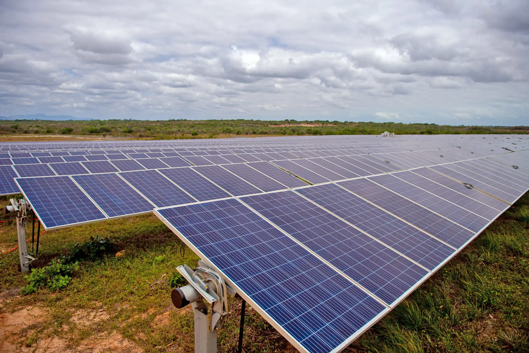 Engie compra cinco usinas solares da Atlas Renewable Energy por R$ 3,2 bilhões. Na imagem: Fileiras de placas fotovoltaicas instaladas sobre o solo na usina solar Sol do Futuro (81 MWac), no Ceará (Foto: Divulgação)