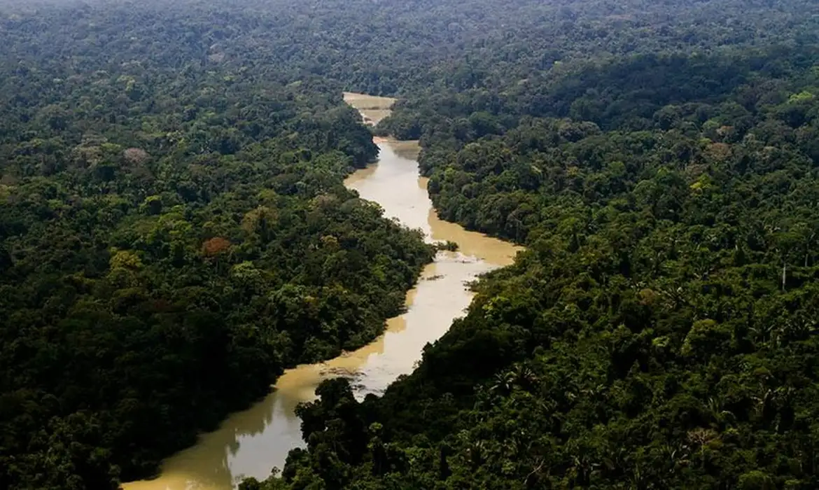 Governo cria Plano Floresta + Sustentável, de ação para recuperação e uso sustentável das florestas. Na imagem: Rio Jamanxim beira o lado leste da Floresta Nacional de Jamanxim (PA), uma das áreas protegidas mais ameaçadas do Brasil (Foto: Leonardo Milano/ICMBio)