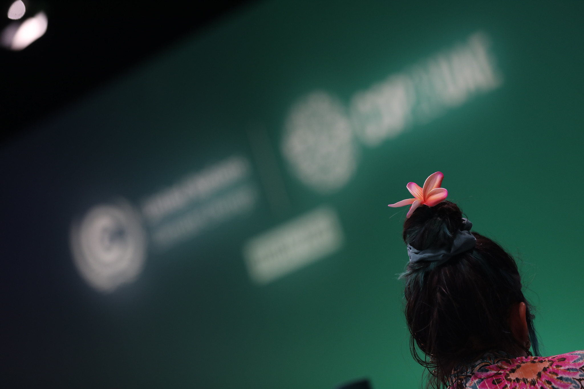 Mais de 50 organizações da sociedade civil pedem paridade de gênero e raça na COP30 do Brasil, em 2025. Na imagem: Mulher de costas com coque no cabelo preso com uma flor rosa, durante o Fórum Climático Jovem sobre NDCs e Cidades na COP28, em Dubai, nos Emirados Árabes, em 6/12/2023 (Foto: Kiara Worth/UNFCCC)
