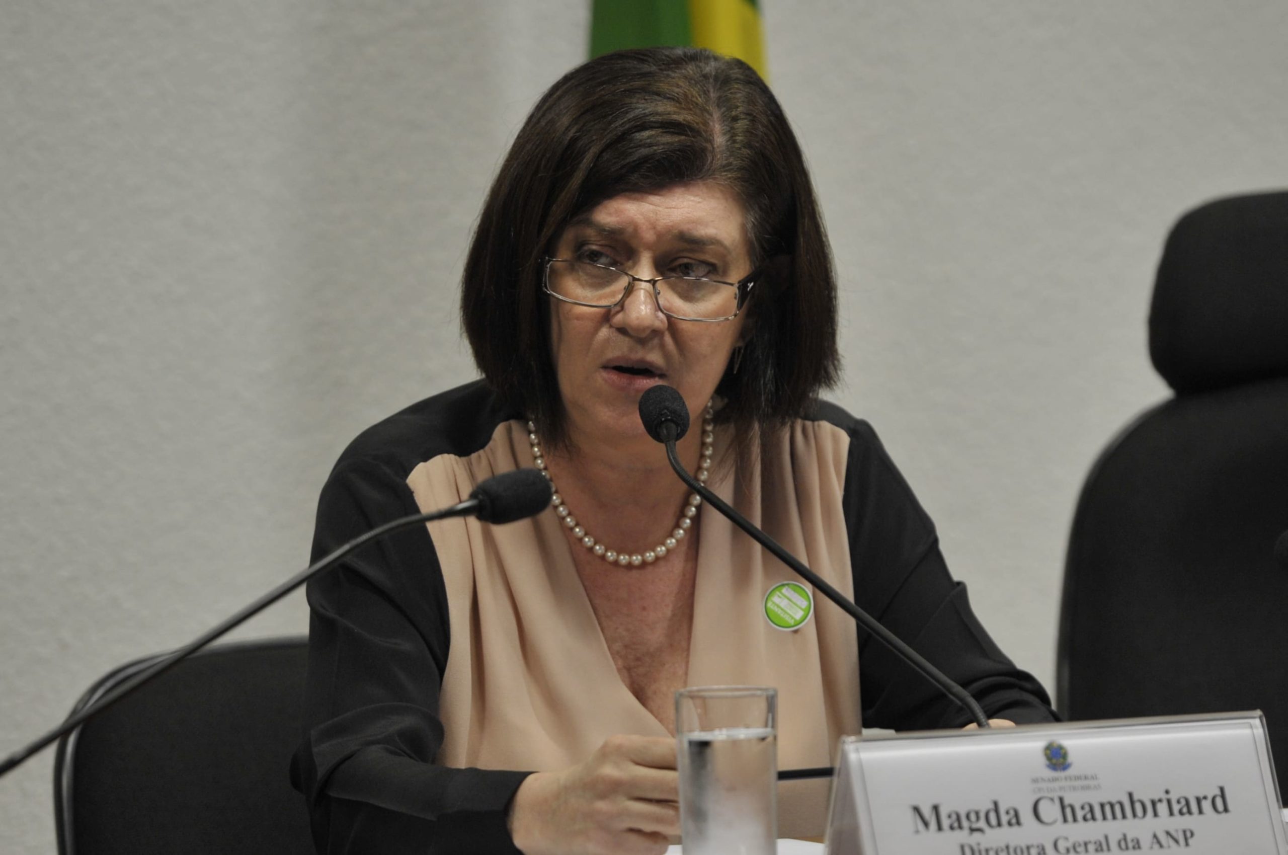 Diretora-geral da ANP, Magda Chambriard, é ouvida na CPI da Petrobras, em Brasília, em 2/7/2014 (Foto: Antonio Cruz/Agência Brasil)